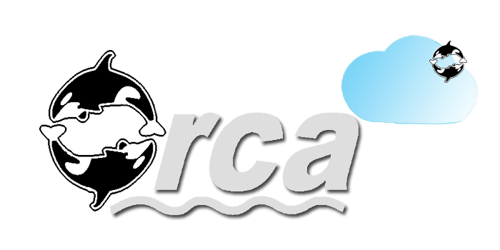 Orca Cloud Email Archiving